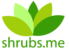 aboutContent-logo